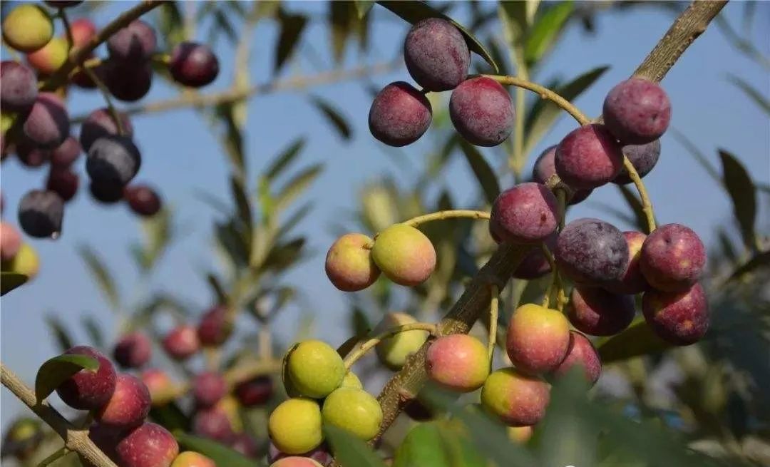 武都旅游景点大全,武都旅游线路