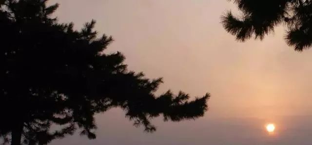 武都旅游景点大全,武都旅游线路