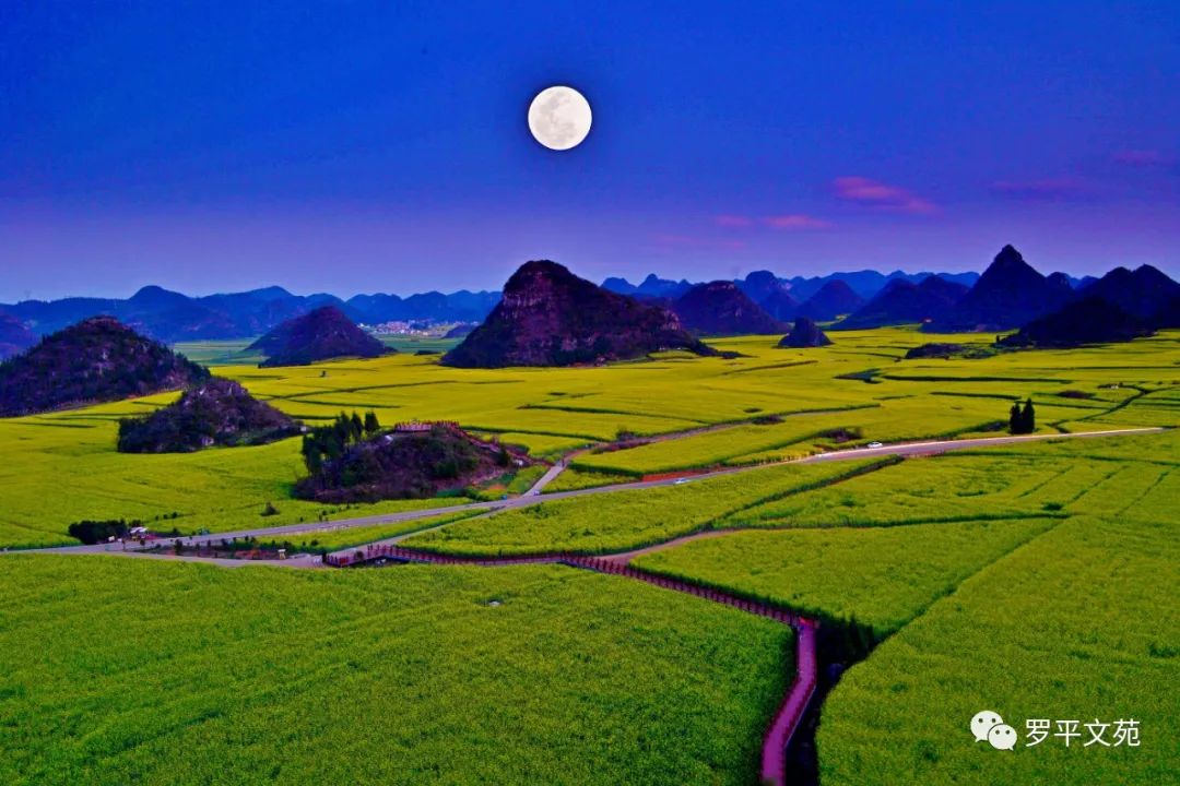 黄永国,黄永国艺术签名设计