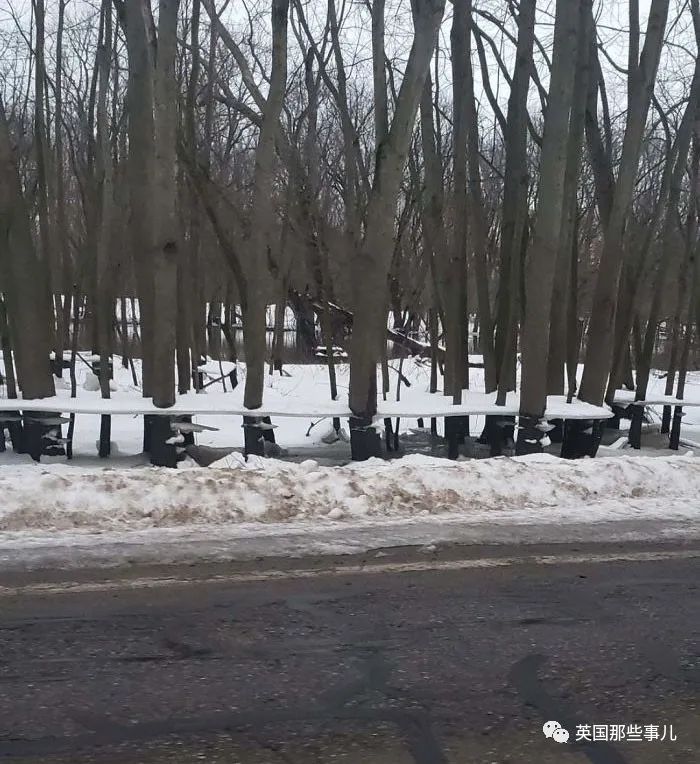 猫头鹰没有眼睛能说话吗,猫头鹰没眼皮