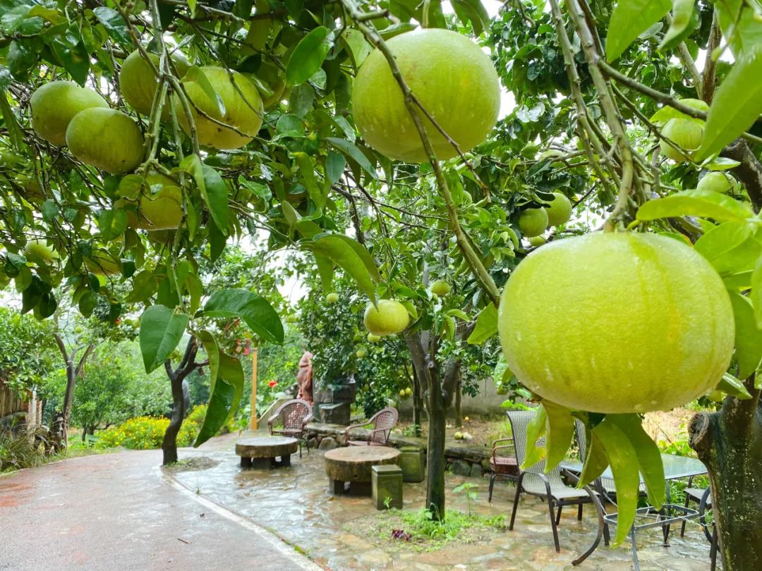 广汉有什么好吃又实惠,广汉有什么推荐的吃的