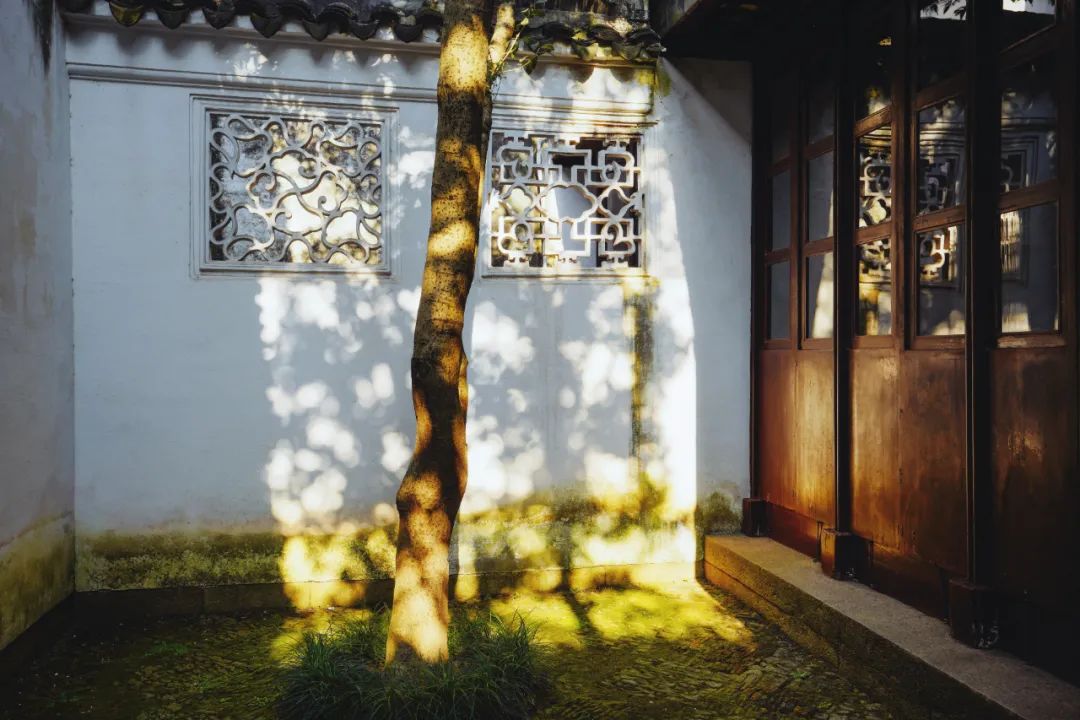 苏州是一座什么样的城市,苏州是一座美丽的城市