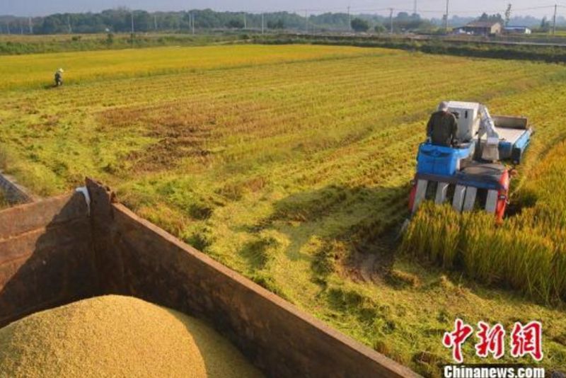 瀵掗湶鐧婚珮璧忕,鍚冭瀮锜圭櫥楂樿祻瀵掗湶