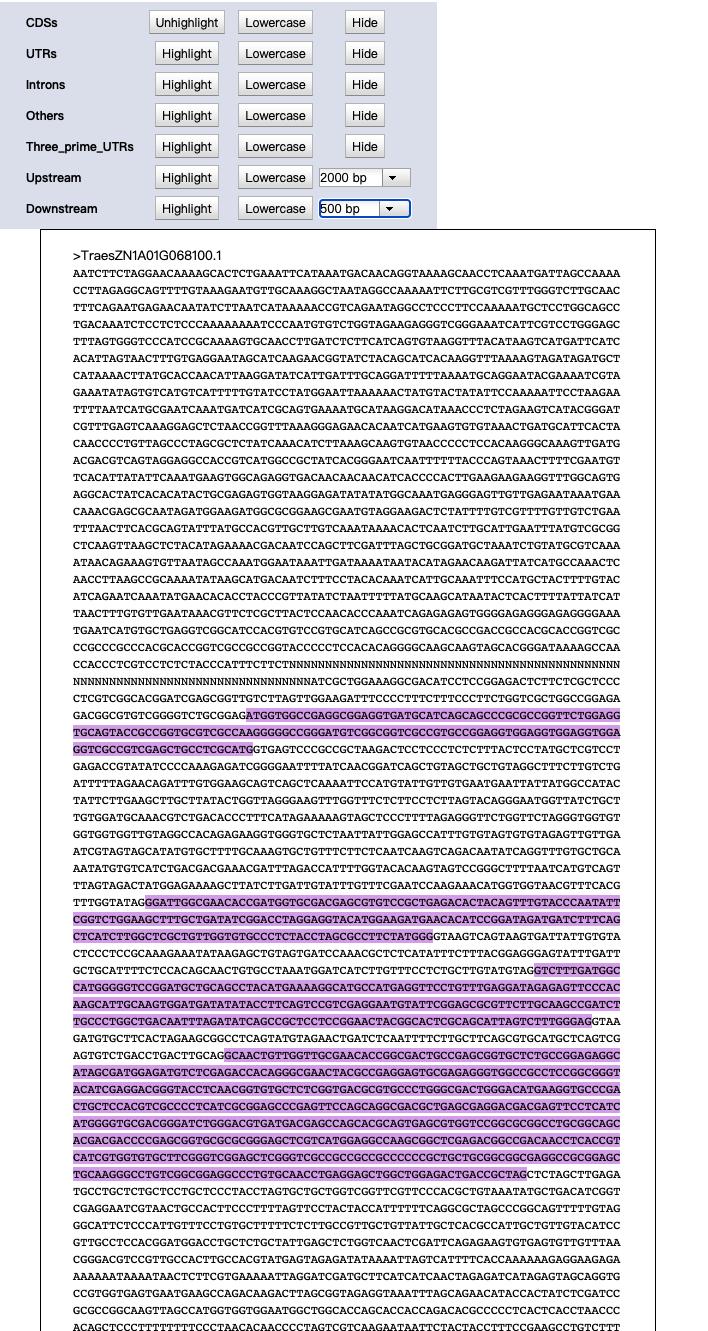 小麦基因组序列查询,小麦基因组