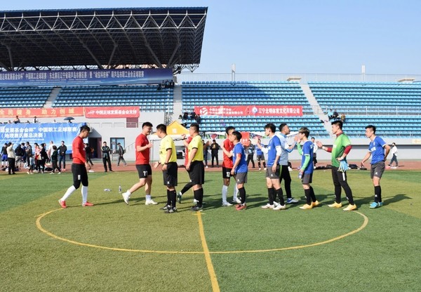 辽宁盖州太阳升,牛气冲天获奖视频