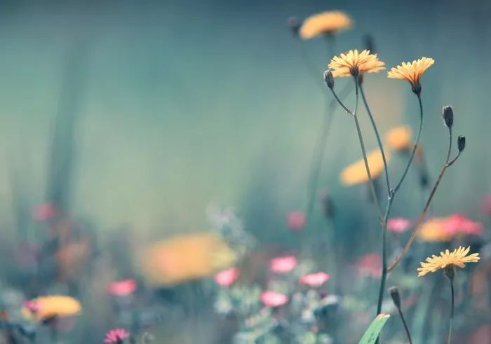 孙静尚大庆相声,孙静新剧