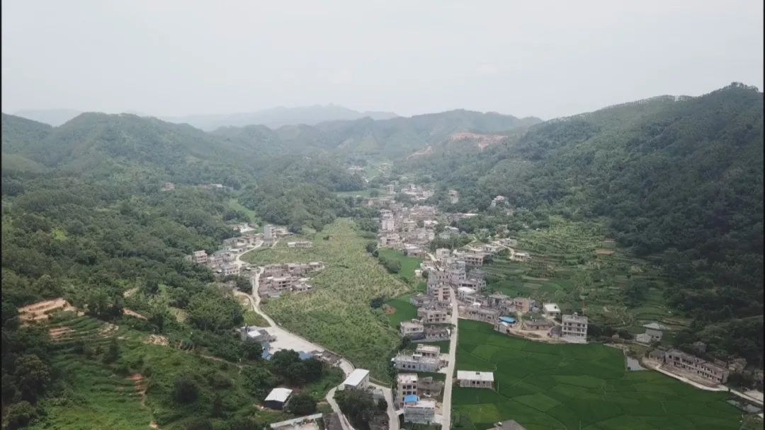 从退役女兵到企业老总,再到村*党**总支部书记,她如何开始新的征程?