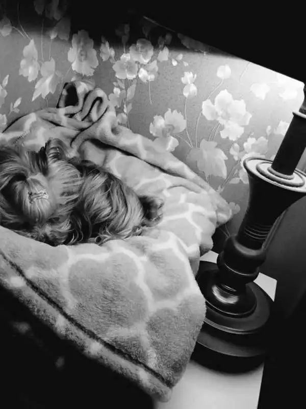 “似乎它从来都没有真正离开过”：和宠物告别的25个时刻