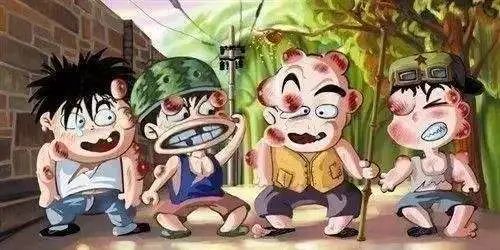 「PNAS」以毒攻毒!黄蜂毒液可提取新型抗生素,可治疗败血症