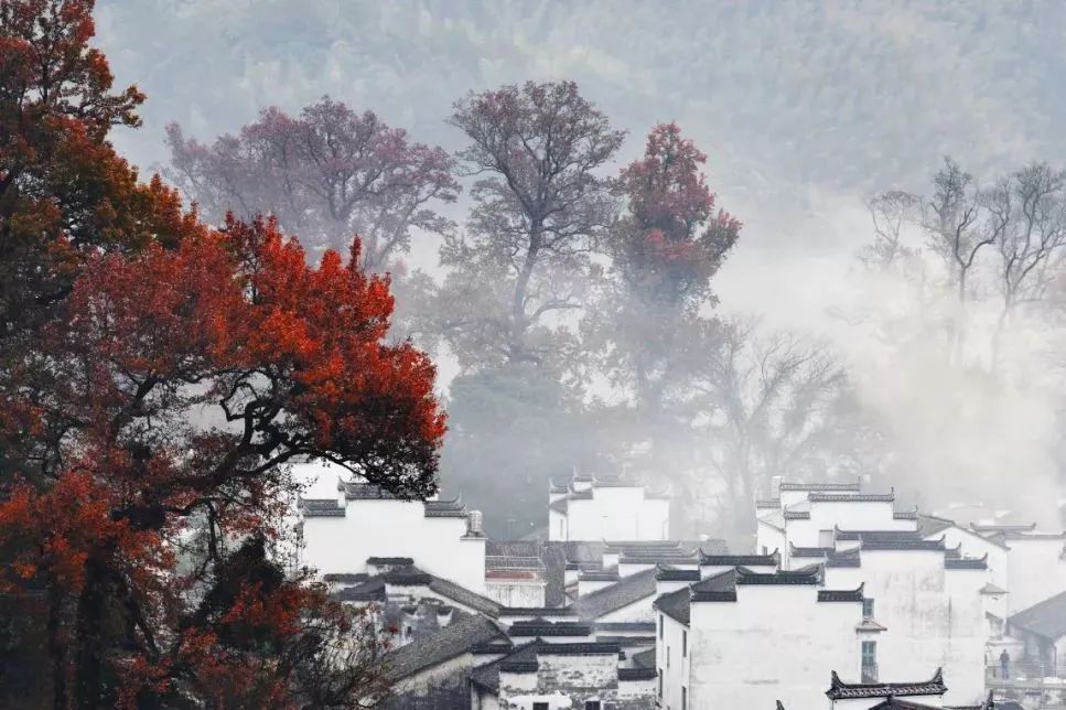 传说中的枫叶,传说中的光雾山红叶