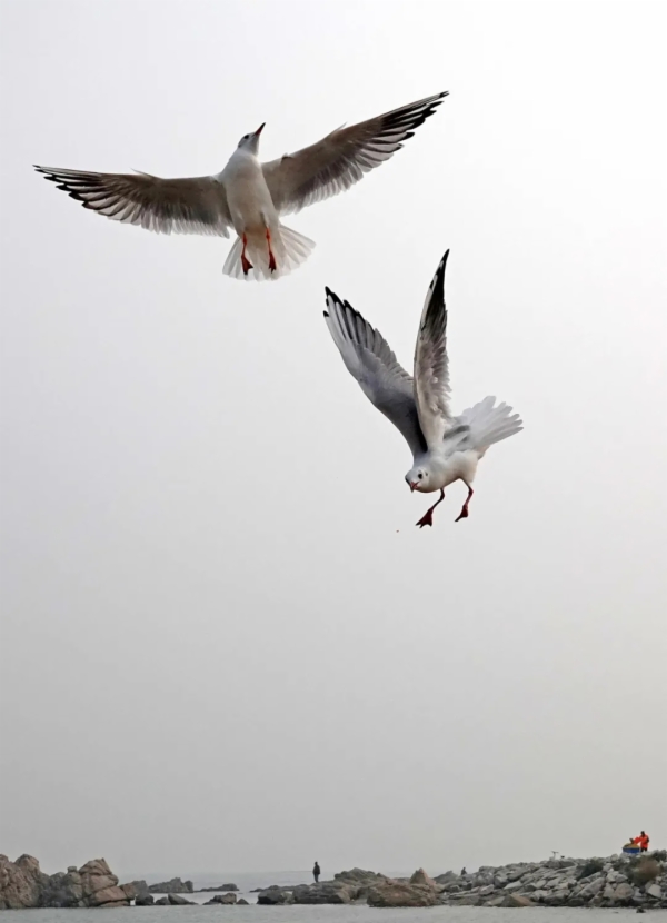 秋天的秦皇岛有多美？摄影家用镜头告诉你