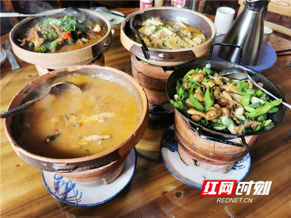 素素吃点啥,素素这周吃了啥