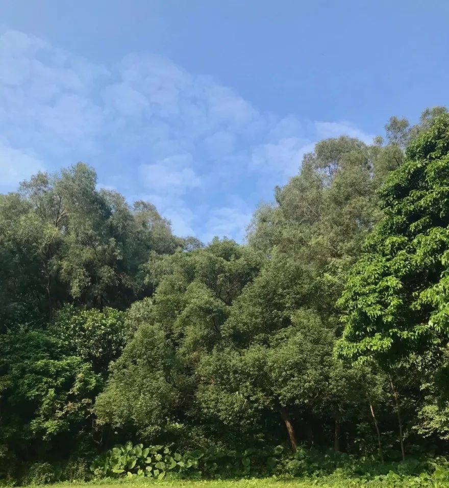 东莞周末带小孩哪里有好玩的地方,东莞又有什么好玩的