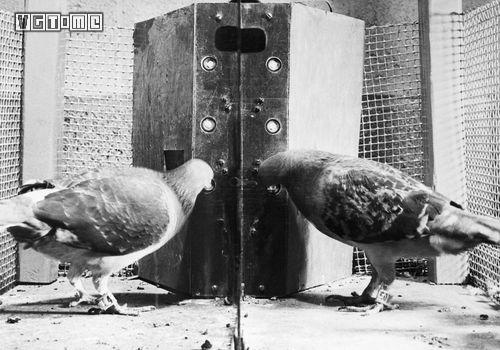 现在为止最好玩的挂机游戏,三年前的一款挂机游戏