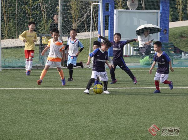 云南青训免费在线观看,云南青训中心比赛