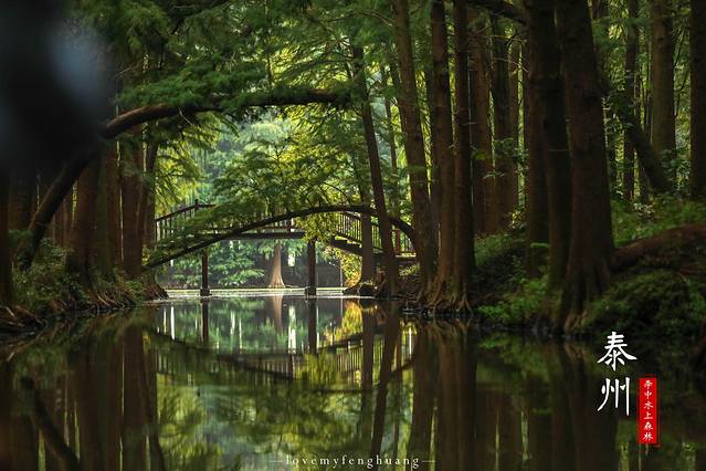 泰州水城有什么好玩,水城泰州