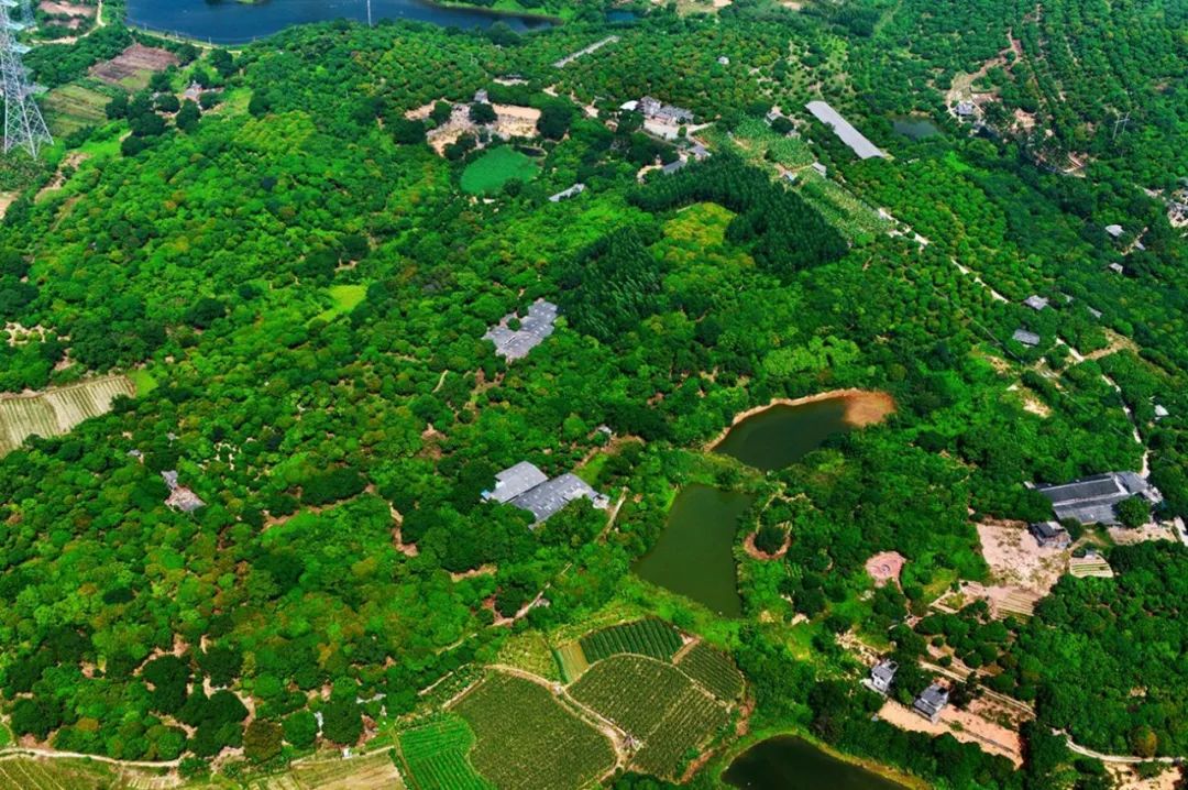 花莞高速最新路线规划,花莞沿高速旅游攻略