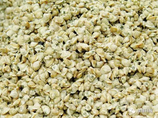 花莞高速最新路线规划,花莞沿高速旅游攻略