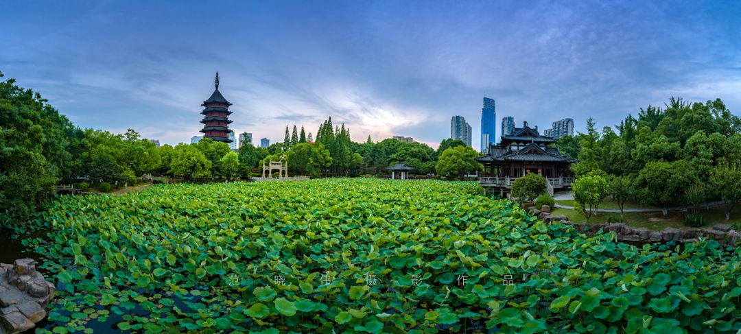 浙江有个湖州市吗,浙江是不是有一个地方叫湖州市