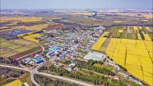 白城市脱贫攻坚,白城奋力拼搏