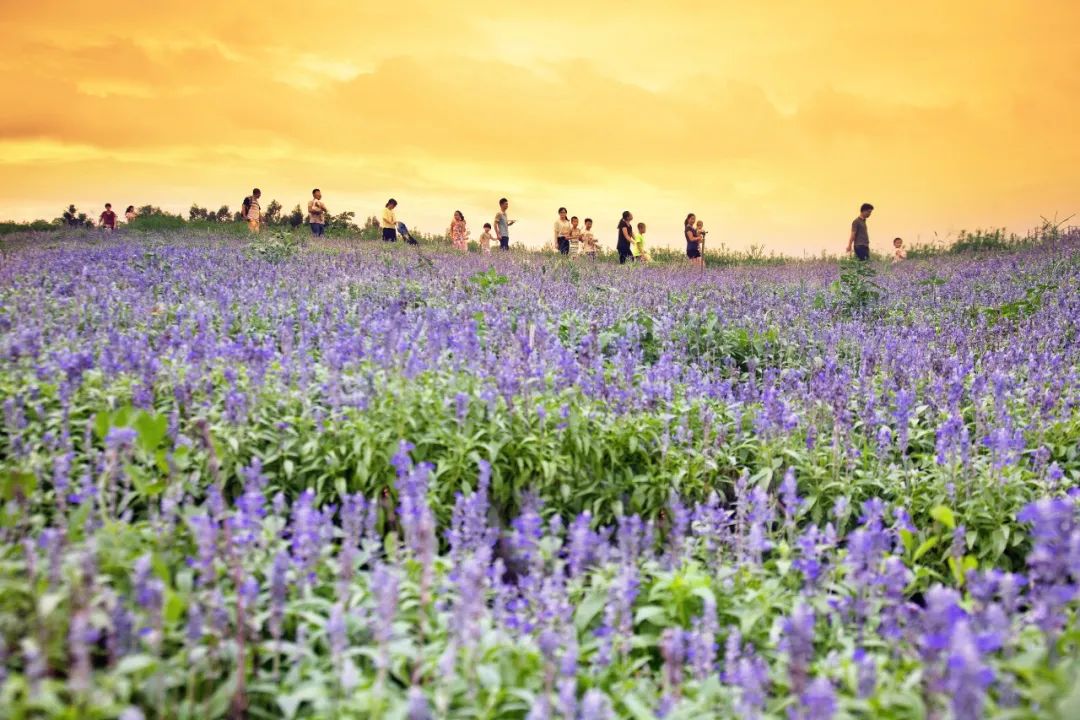 爬厦门仙灵旗,厦门周边登高望远的地方