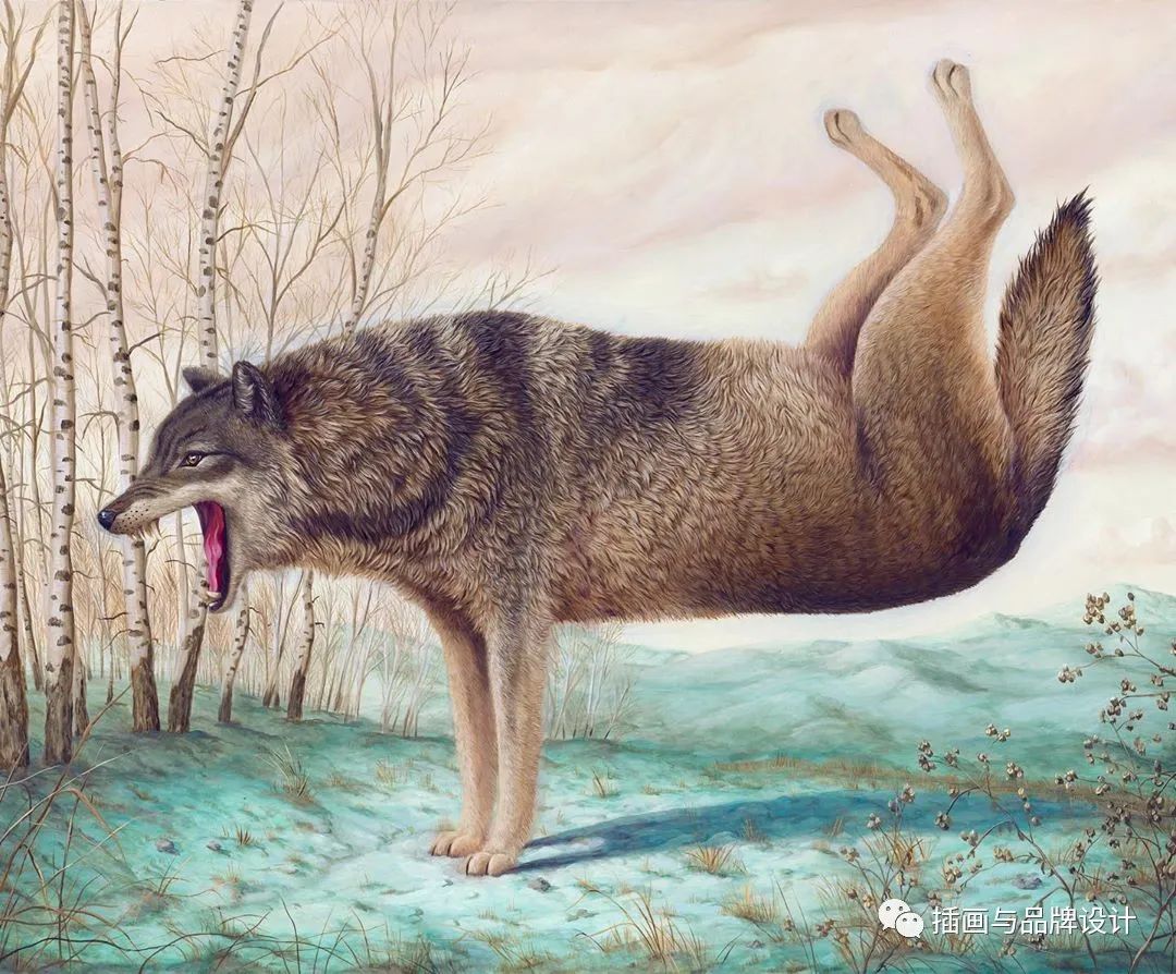 荒诞极端插画,荒诞主义插画