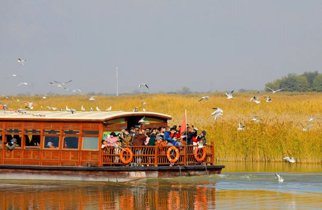 宁夏适合3-4月份旅游,宁夏的秋天