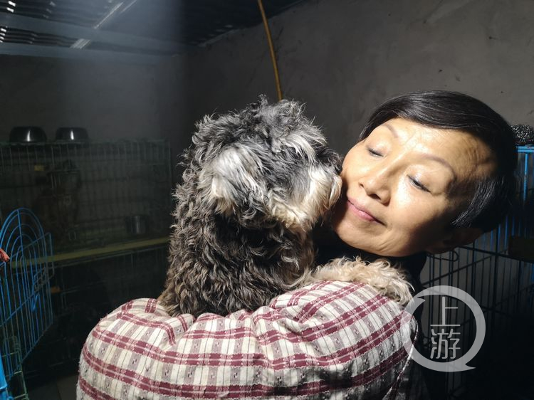 68岁老人收养1300只小动物,68岁老奶奶收养1300只流浪动物