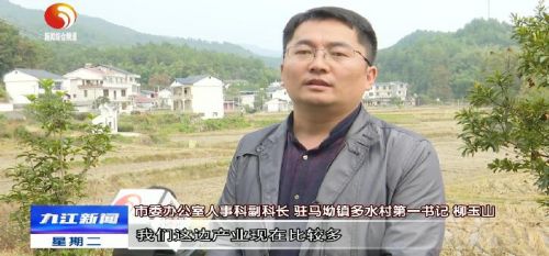 修水马坳,江西省修水县马坳