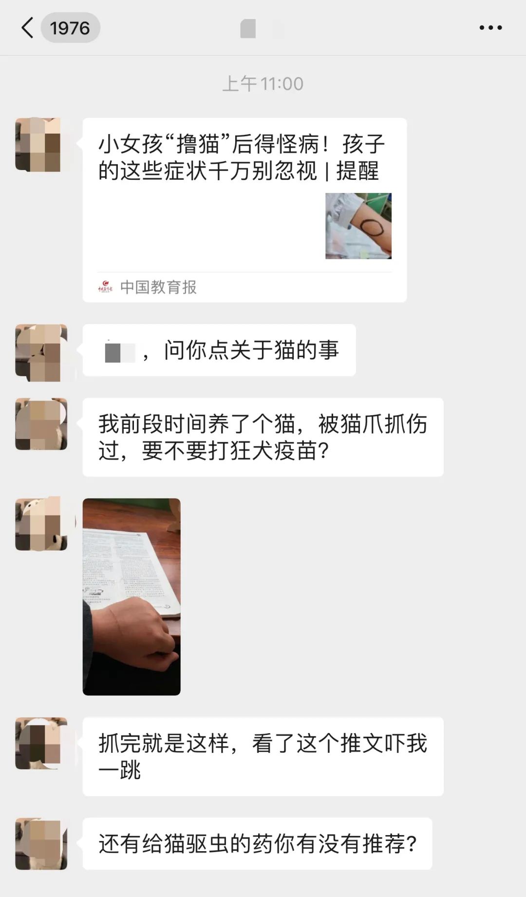 撸猫得怪病,儿童撸猫得病
