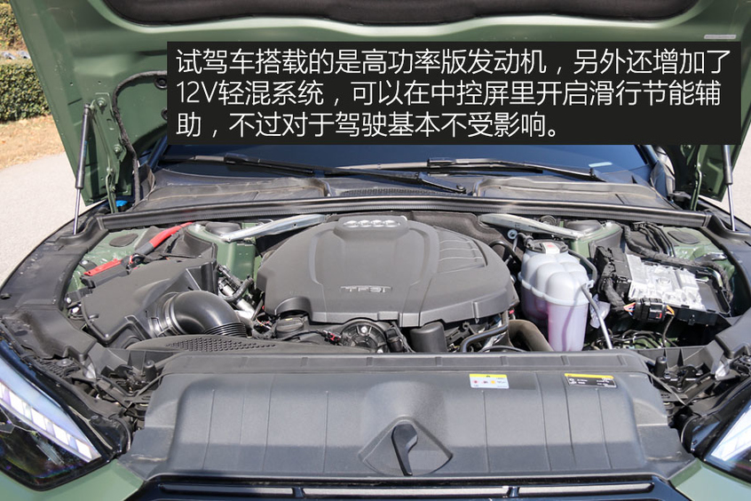 集才华与美貌于一身,集才华与美貌于一身图片