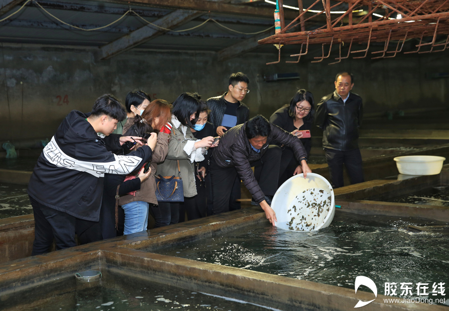 “云”见烟台:蓝色后浪奔涌海洋产业“参参”不息