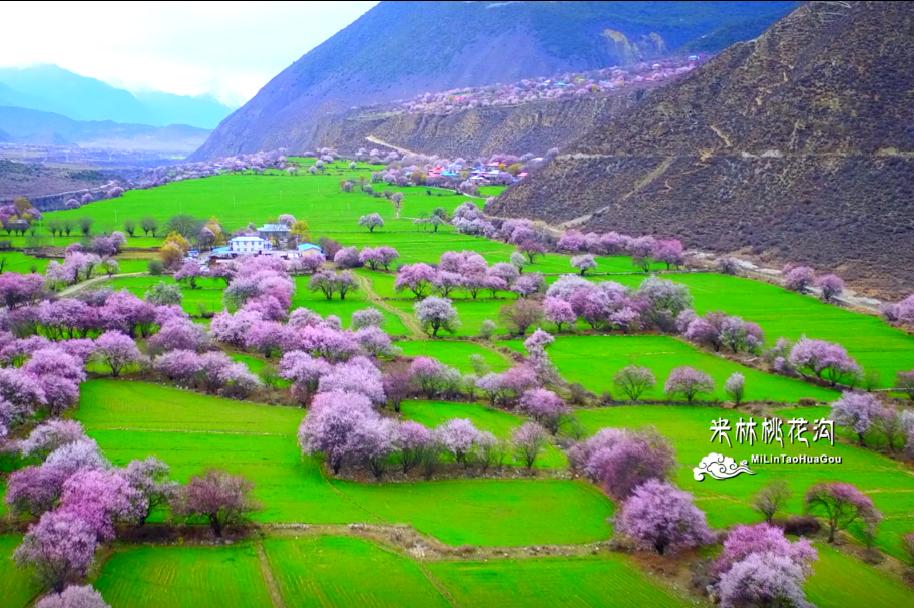 “双十一”提前了！本周末，东莞这里有文旅体大聚会！