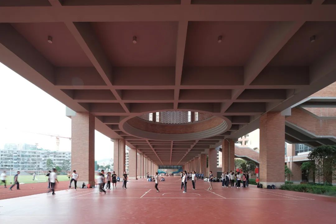 凤凰木守护的校园|深圳中学（泥岗校区）