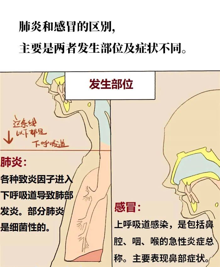 鲁威渔医号丨肺“肿了”怎么办？