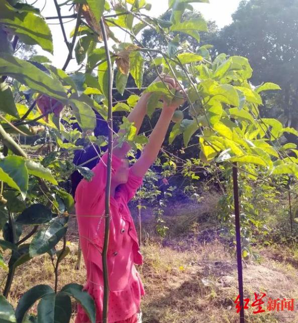 公司可以要求员工退回销售提成吗？@全体业主，小区这笔钱归大家所有！又一地叫停教师在群里布置家庭作业