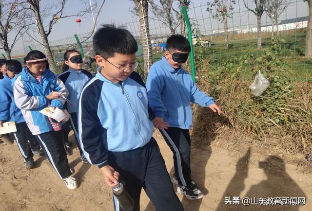 小学综合实践活动课堂,山东省小学综合实践活动培训