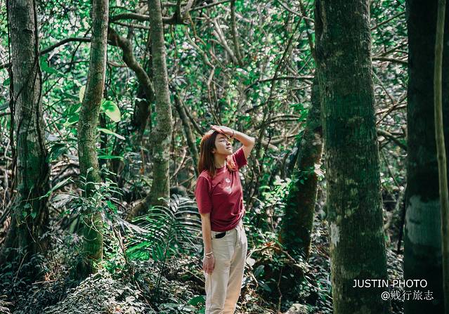 海南环岛旅行需要多少天,去海南过冬天去哪里最好