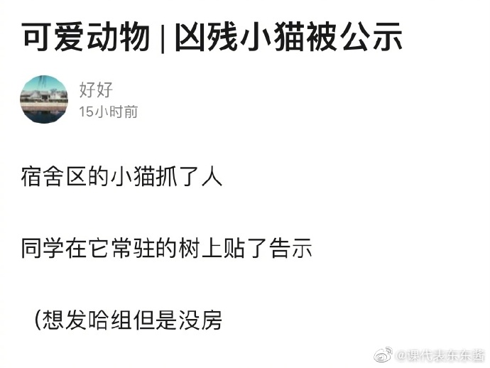 海底捞的单人套餐有什么菜,海底捞的套餐怎么那么便宜