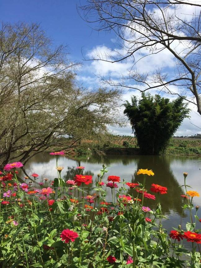 弘扬新时代西畴精神｜颜玉锐：走出大山又回到大山的致富带头人