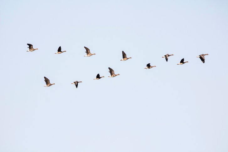 趣味科普小知识动物篇,有趣的动物科普小知识视频
