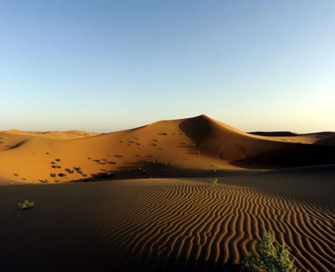 什么是泾源,什么是年下