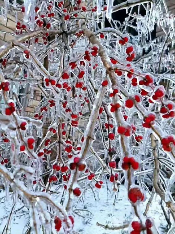 延边滑雪东北已率先进入雪季,延边开启滑雪季快来嗨翻冬天