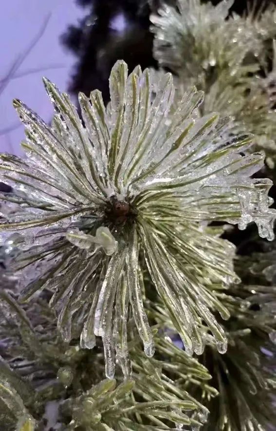 延边开启滑雪季快来嗨翻冬天,雪雪来了