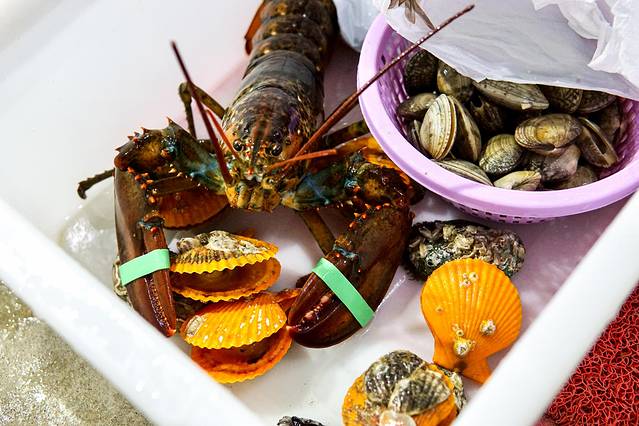 三亚五天四晚划算还是自由行划算,五天四晚三亚省钱攻略