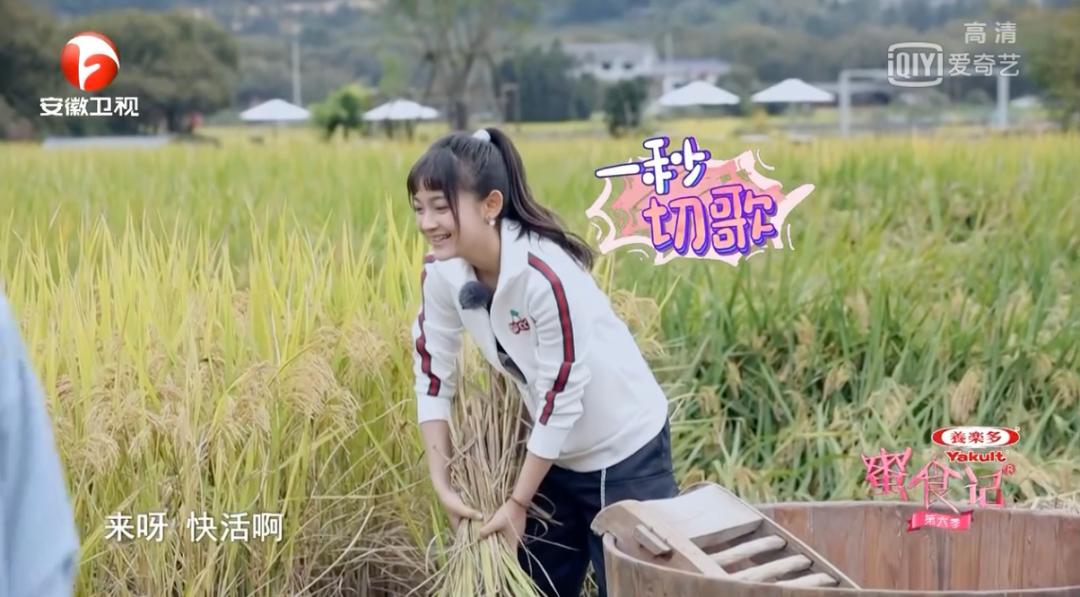 全新升级与回归，《蜜食记6》如何借用美食与友谊诠释爱与真实？