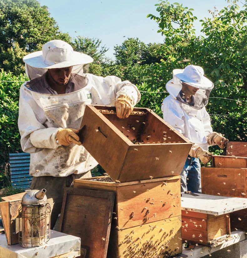 口臭的解决方法胃不好,口臭是不是胃不好了应该怎么调理