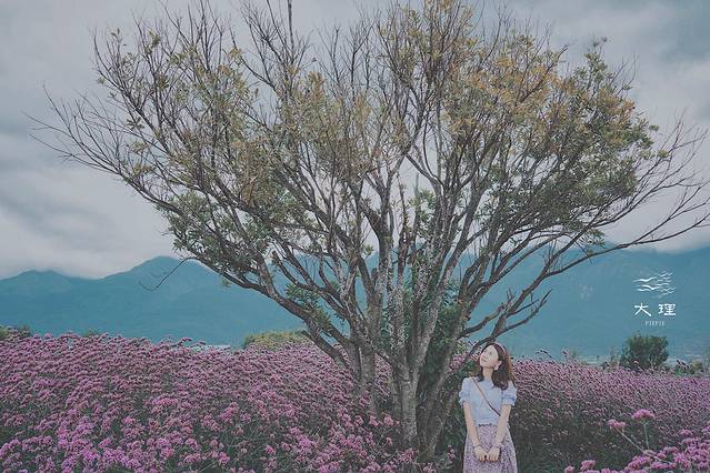 长沙自驾去大理多少钱,生活需要惊喜自驾直奔大理