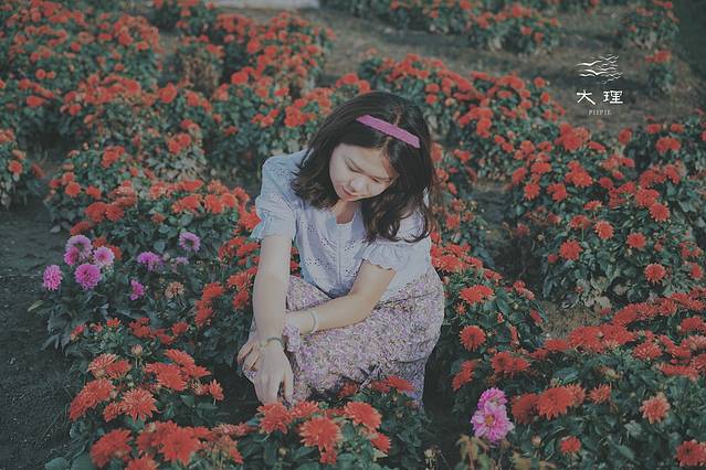 长沙自驾去大理多少钱,生活需要惊喜自驾直奔大理