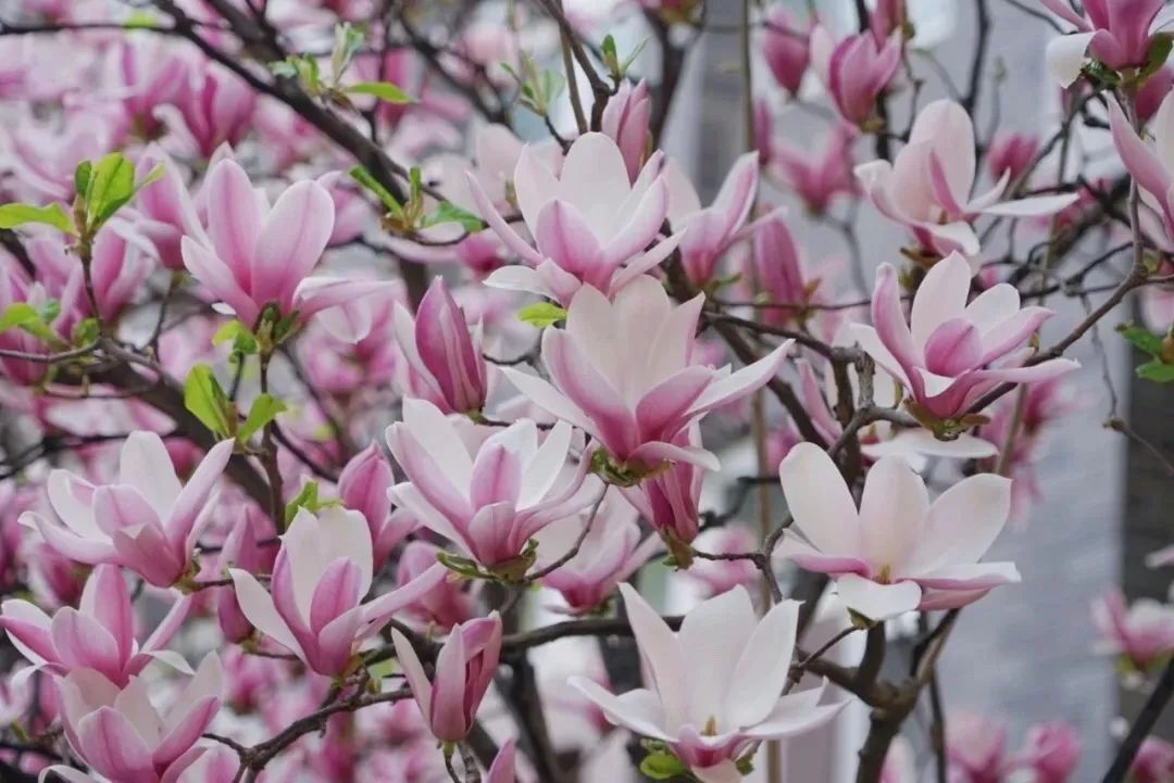 在师大的一天,在师大的生活